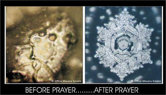 masaru emoto acqua