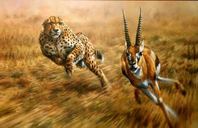 animali totem preda predatore