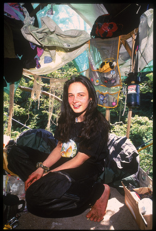 julia butterfly hill4