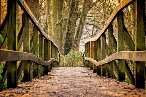 passegiata nel bosco