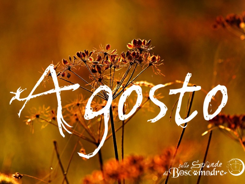 Agosto